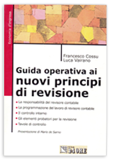 Nuovi principi di revisione